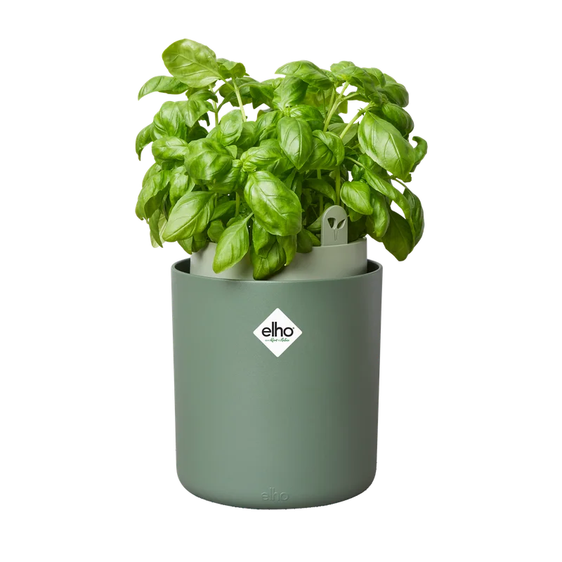 Elho Bouncy Basil 16 – drijvende kruidenpot voor de keuken