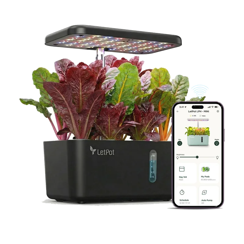 LetPot Mini hydrocultuur 5 pods – zwart, met app