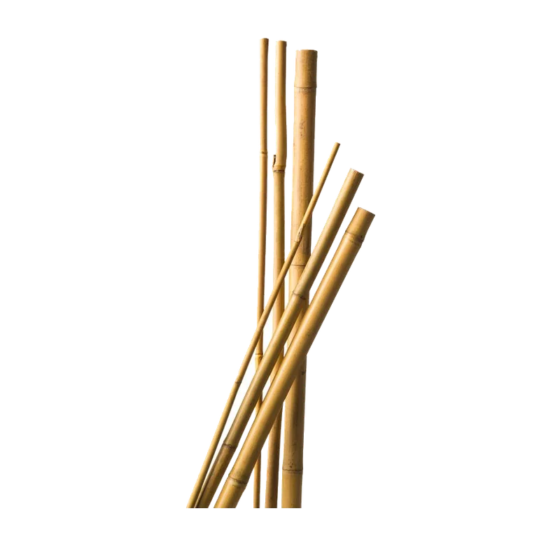 Nature Bamboestokken – 60 cm, 10 stuks