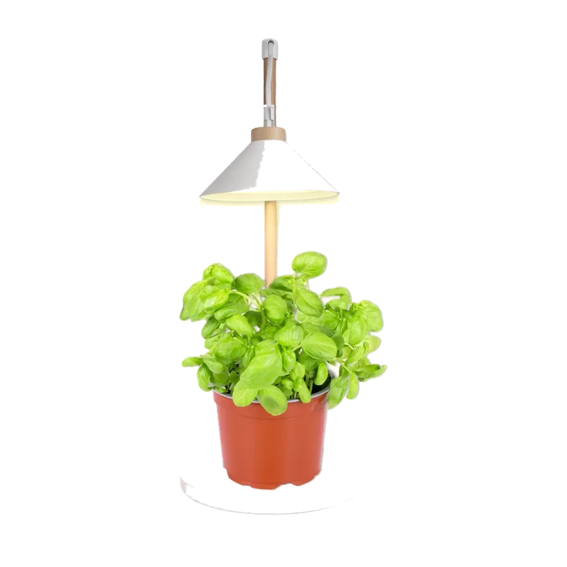 Silvergear Groeilamp voor 1 plant – ledlamp met timer, 9 watt