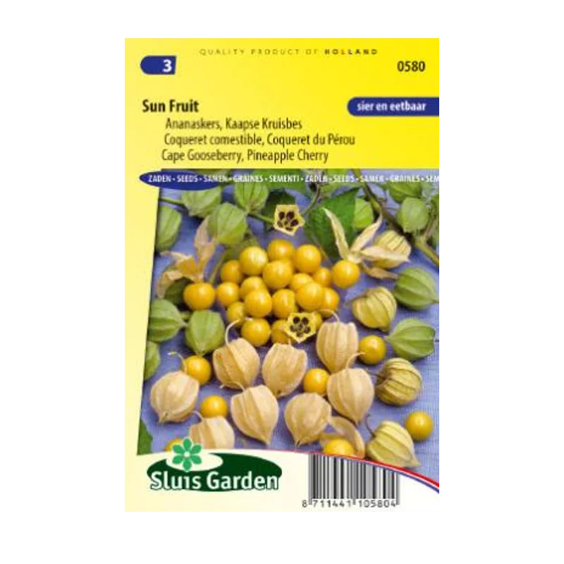 Sluis Garden Ananaskers Sun Fruit – zaad voor physalis