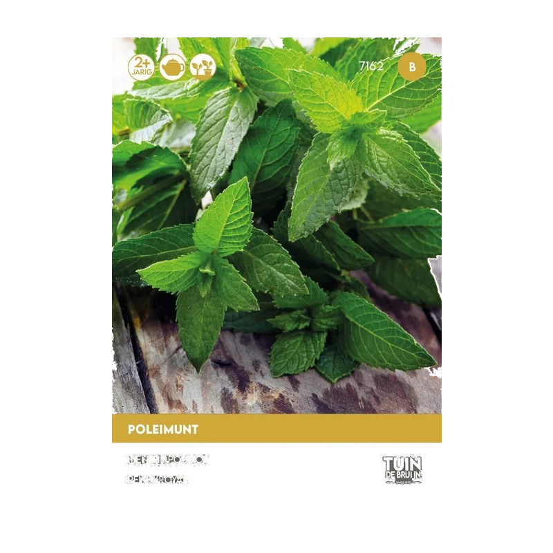 Tuin de Bruijn Poleimunt – Mentha pulegium, ca. 1200 zaden