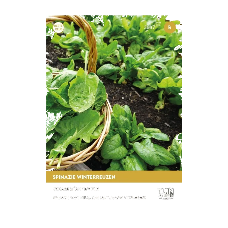 Tuin de Bruijn Spinazie Winterreuzen – winterspinazie, 15 gram