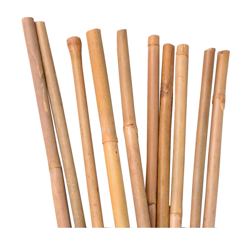 UNUS Garden bamboestokken – 150 cm, 10 stuks